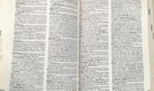 高四也美好_900字