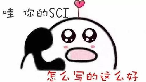 崇拜不等于复制_750字