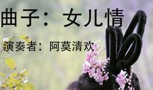 拽丫头，我的梦（锲子）_1500字