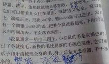 （一）张老头_450字