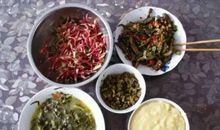 毕竟他们是生我养我的人_500字