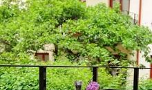 （二）你不觉得自己这样做有点太过分了吗_500字