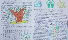 清明节手抄报：春天的幼苗_20字