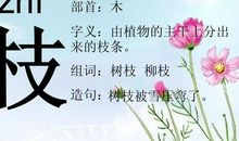 人教版小学语文分类古诗：树朩