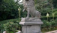 校园记(八、九）_350字