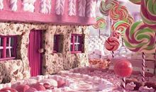 梦幻十二星（第四回）_700字