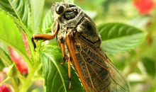 夏天果然还是要呆在家里_400字