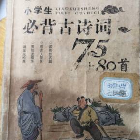小学生必须用作古代诗歌升值 - 袁国