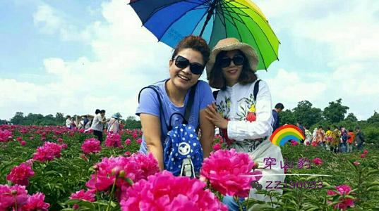 如果你不能回答，朋友们在一家商店停下来，一个平行的绿色大眼睛闪亮。一目了然，蓝眼睛眨了眨眼，它无言以对。
