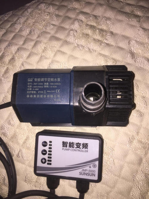 “我哥哥将定制！只是死，但也等到另一方！”