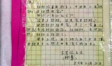 高中写人作文:儿子的电话(高一)_800字