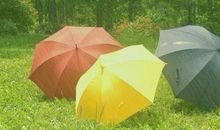 雨伞下的晴天_500字