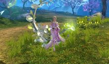 血灵传奇（第二章）碧竹若海_1500字