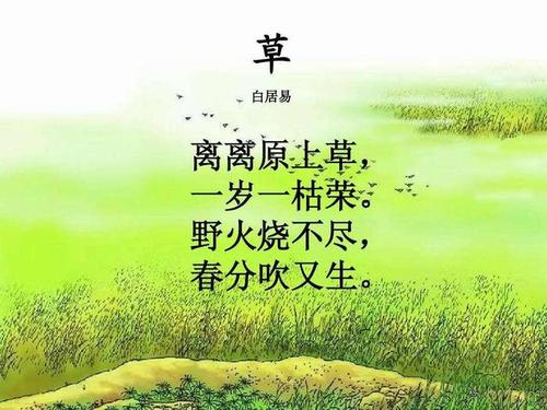 关于教科书的论证的材料