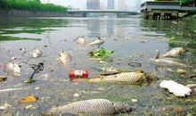 关于水污染的建议书_750字