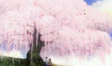 樱花树下的许愿（六）_600字