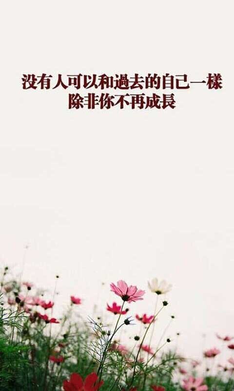 阳光总是在风暴中_800字