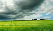 无边无垠的梦想_600字