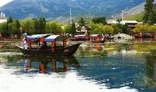 梦幻咖啡屋（十一章）_550字