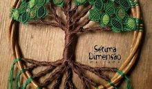 丁丁和莱莱的历险记之虫虫国的生命树（1）_700字