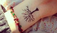 丁丁和莱莱的历险记之虫虫国的生命树（2）_500字