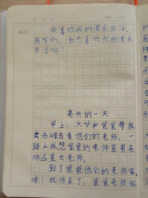 我在一个寒假_900字