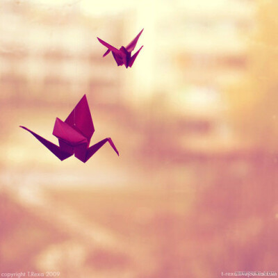 “一三三，笑！”摄影师心情愉快，有歌唱。