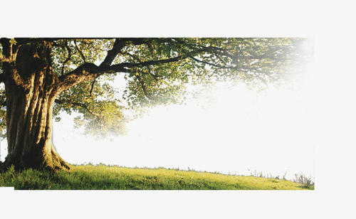  未经许可，不得转载