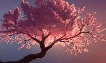 梦幻十二星（第十二回）_700字