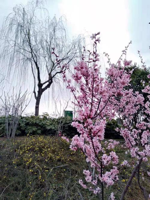 弧度在奥祖罗固定了很长时间，似乎是一生。