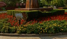 故乡的人民公园_450字