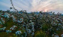 送别（前言）_300字