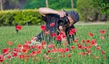 《冰雪四公主的复仇绝恋》第三十七章 校花大赛7_1200字