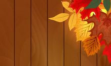 秋叶落下_1000字