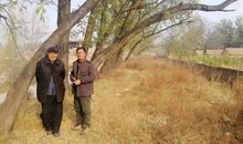 小学生感恩节作文400字：感恩我的奶奶_450字