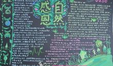 小学生感恩节作文500字：感恩大自然_600字