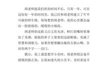 我们幽默的数奥老师_450字