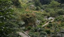 大山的回音_1200字