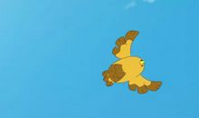 我和小鸟的对话_350字