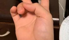 动物王国的求救信_500字