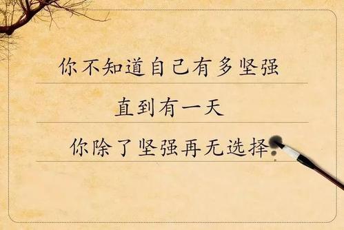 好朋友们