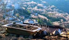 那时，心无比宁静_450字