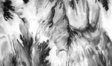 汤于萱个人简介