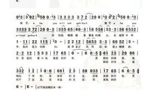 王艳红个人简介