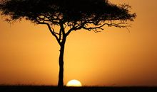 儿子，做人要脚踏实地