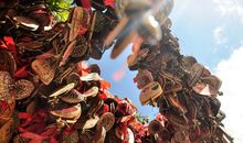 站在雨季的门槛上_1200字