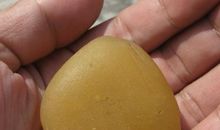 玉光之尽（一）冲突_900字