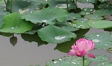 梅雨欣个人简介