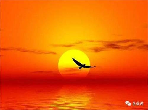 Sunrise _350字