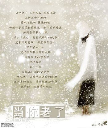 致力于诗歌_800字
